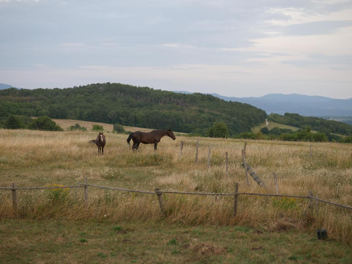 ホテル Selanka Off Road Hill View Moravske Lieskove エクステリア 写真