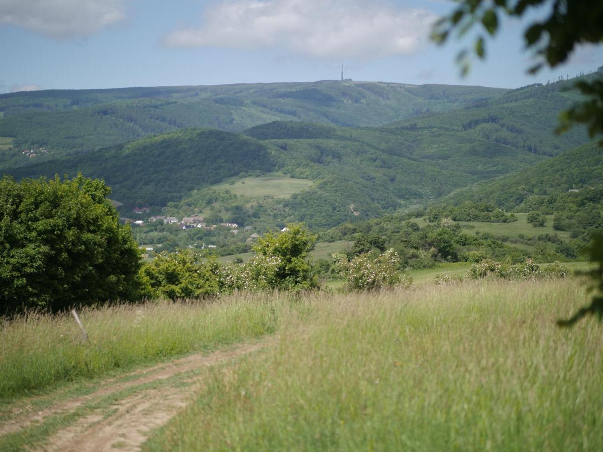 ホテル Selanka Off Road Hill View Moravske Lieskove エクステリア 写真